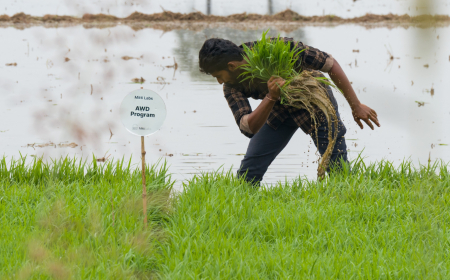 Mitti Labs Raises $9.5 Million Led by Aramco Ventures to Expand Across Asia