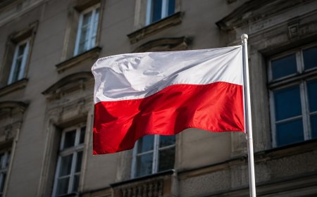 Polish Researchers Find Thousands of Public Websites Vulnerable to Cyberattacks