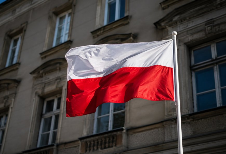 Polish Researchers Find Thousands of Public Websites Vulnerable to Cyberattacks