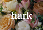 Hark Unveils Handoff AI Agent for Browser-Based Task Automation