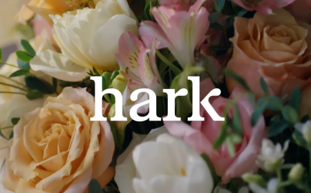 Hark Unveils Handoff AI Agent for Browser-Based Task Automation
