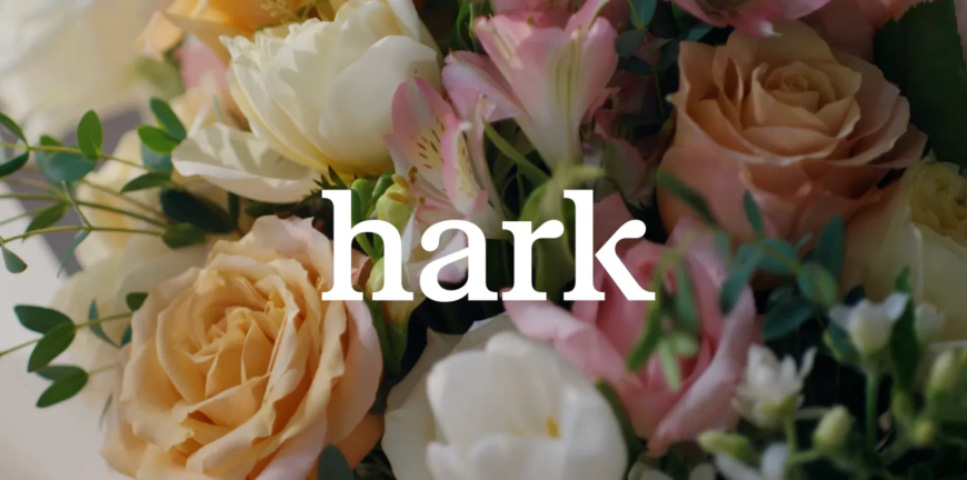 Hark Unveils Handoff AI Agent for Browser-Based Task Automation