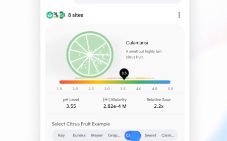 Google Adds New AI Study Tools to Search and Gemini