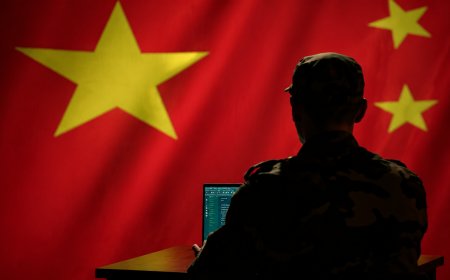 US Seizes Chinese Botnet Domains Used in Government Cyberattacks