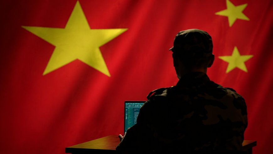 US Seizes Chinese Botnet Domains Used in Government Cyberattacks