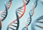 Anthropic Confirms Biology Lab as It Expands AI Research Into Life Sciences