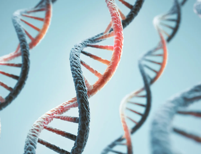 Anthropic Confirms Biology Lab as It Expands AI Research Into Life Sciences
