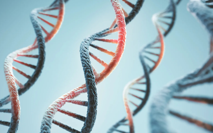 Anthropic Confirms Biology Lab as It Expands AI Research Into Life Sciences