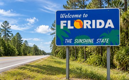 Hackers Leak Florida Driver and Vehicle Records After Database Breach
