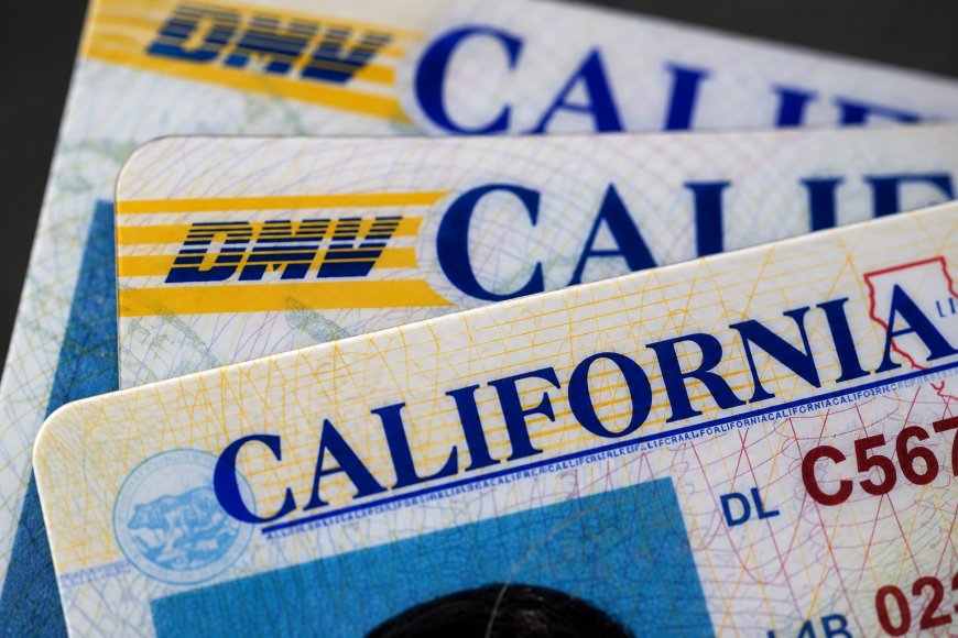 IDScan Confirms Data Breach Involving Driver’s License and Passport Data