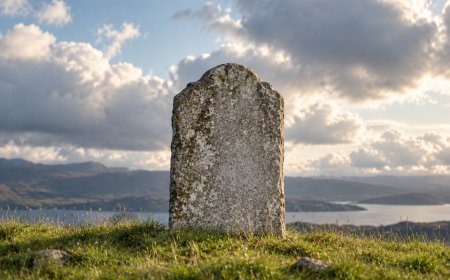 The AI Graveyard: Notable AI Projects and Startups That Shut Down