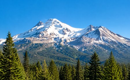 Three Hikers Rescued on Mount Shasta After Using Google Gemini to Plan Trip