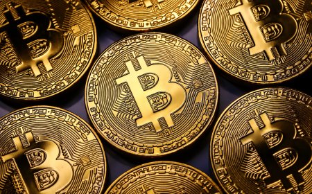 Trezor Warns 347,000 Customers After Brevo Email Breach