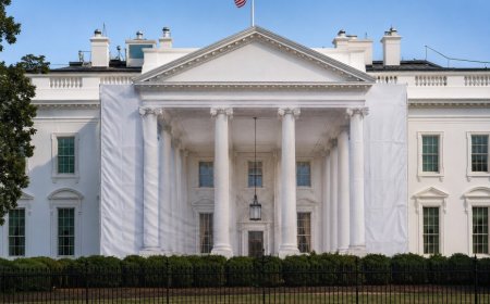 White House Removes ‘Build the Wall’ Game After Tetris Copyright Complaint